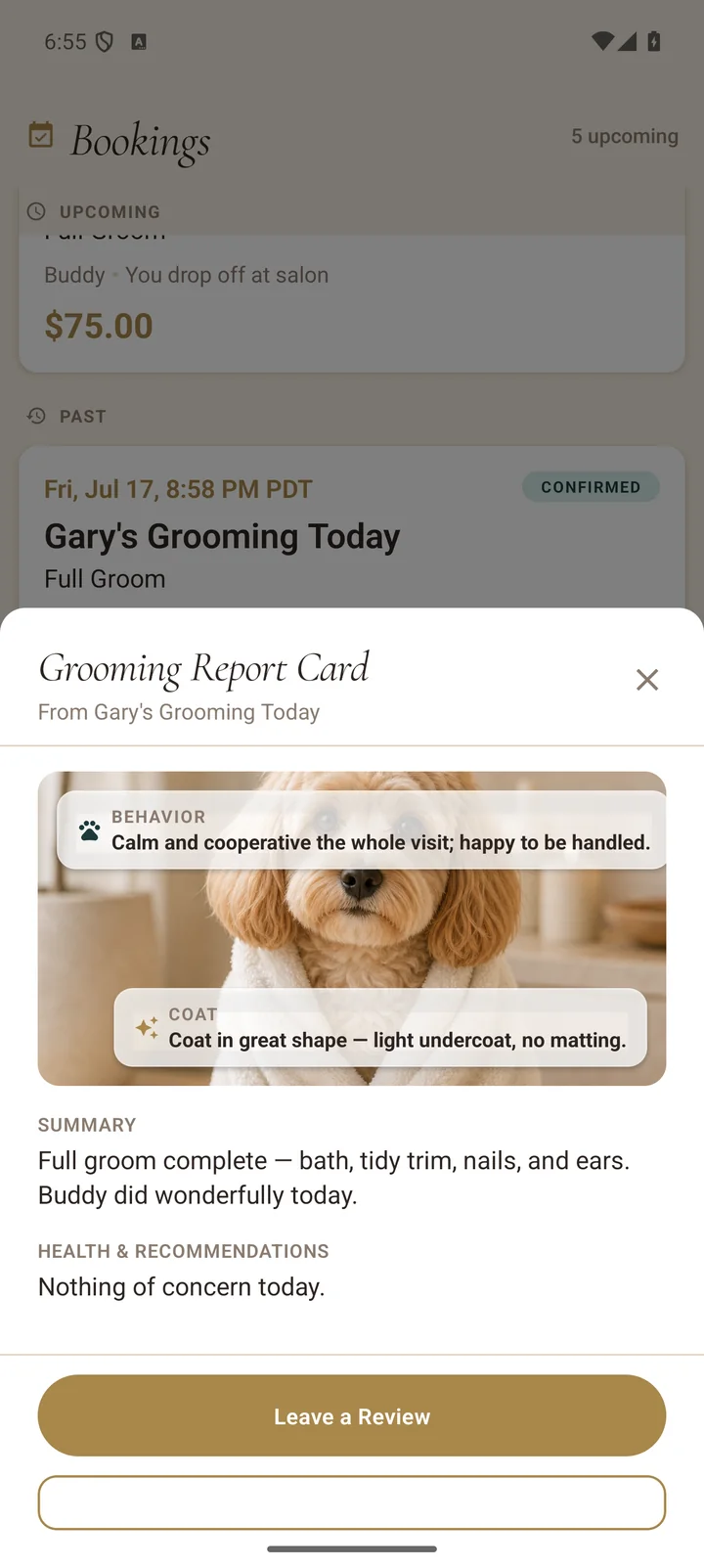 Parent view of the groom report card with photo and notes